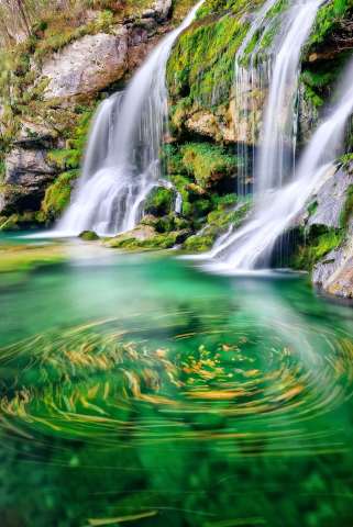 Swirl in a green paradise